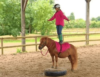 Au galop ! Une saison à cheval