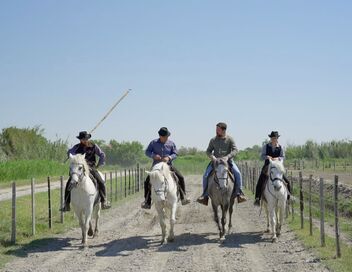 Les 100 lieux qu'il faut voir