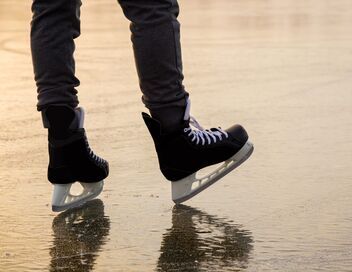 Jeux Olympiques d'hiver : Patinage artistique