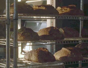 Les artisans du bon pain