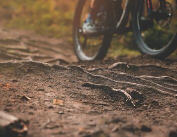 VTT : Entre deux courses