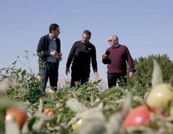 Arnaques à l'italienne