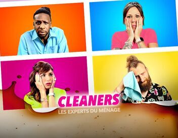 Cleaners les experts du ménage