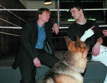 Rex, chien flic