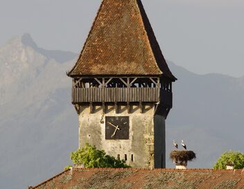 Transylvanie : Voyage dans une nature ancestrale