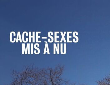 Cache-sexes : Un jeu d'artiste