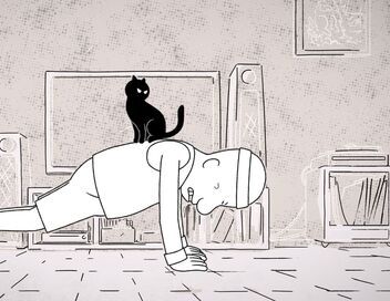 Putain de chat !