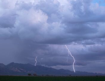 Le grand show de la nature