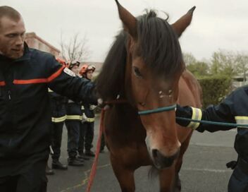 A l'école des pompiers