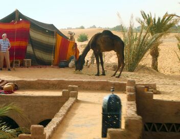 Les Bodin's partent en vrille