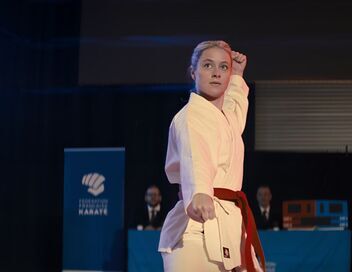 Karateka