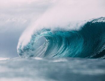 La science des forces de la nature