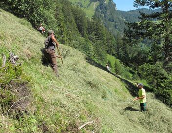 La fenaison en montagne, une tradition suisse