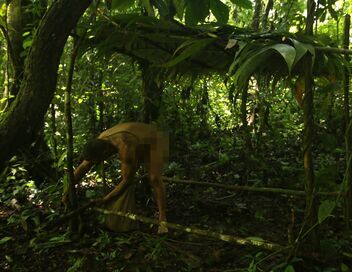 Retour à l'instinct primaire