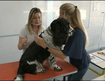 Ados et animaux : une école pas comme les autres