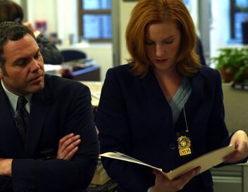 New York, section criminelle