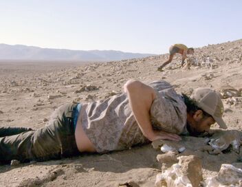 Chili, les messagers invisibles du désert d'Atacama