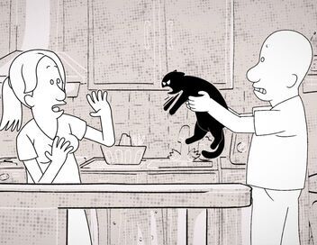 Putain de chat !