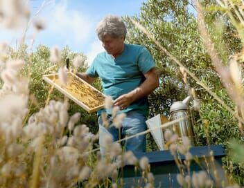 Les maîtres des abeilles