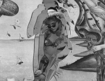 La Vénus de Botticelli, naissance d'une icône
