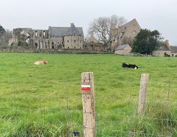 Chemins de traverse