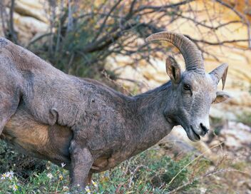 Merveilles de la nature
