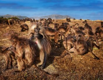 Le royaume des nuages