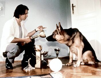Rex, chien flic