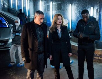 Alice Nevers : Le juge est une femme