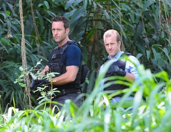 Hawaii 5-0