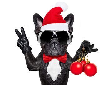 Le grand bêtisier de Noël