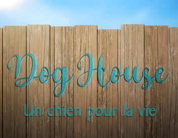 Dog House : un chien pour la vie