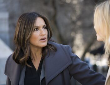 New York Unité Spéciale