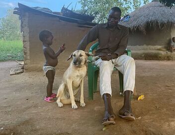 Ouganda, les chiens de l'espoir