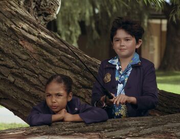 Organisation Super Insolite