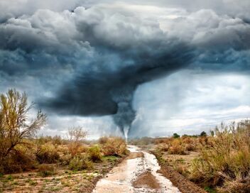 La science des forces de la nature