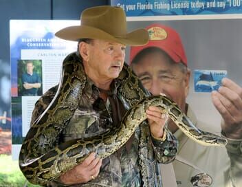 Floride, la guerre des pythons