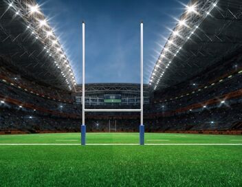 Rugby : Tournoi des Six Nations