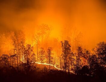 Catastrophes naturelles : survivre au pire