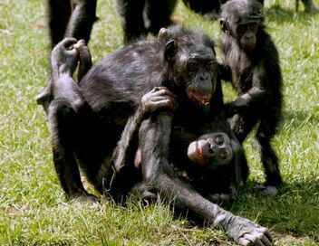 Amours sauvages : tous les goûts sont dans la nature