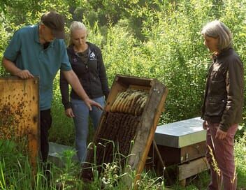 Les maîtres des abeilles