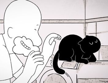 Putain de chat !