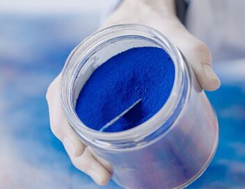 Infiniment bleu : Histoires d'une couleur