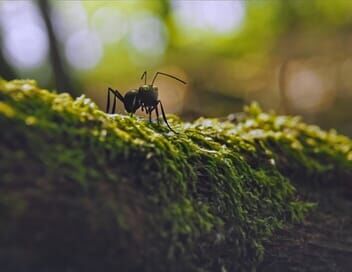 Les parcs naturels... en Minuscule