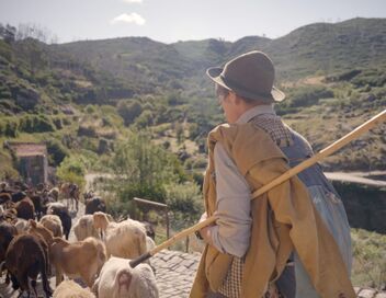 Le dernier berger de Sabugueiro