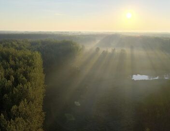 Au coeur de l'Amazonie européenne