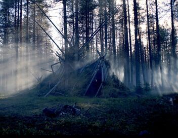 La tribu et le gourou : Gaïaland