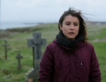 Les blessures de l'île