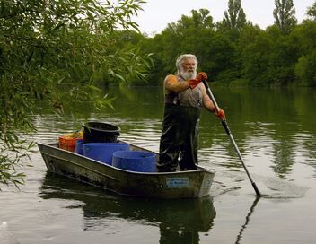 Le dernier pêcheur du Rhin