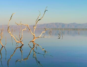 Le Zambèze, fleuve sauvage d'Afrique